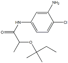 N-(3-amino-4-chlorophenyl)-2-[(2-methylbutan-2-yl)oxy]propanamide Struktur