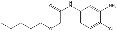 N-(3-amino-4-chlorophenyl)-2-[(4-methylpentyl)oxy]acetamide Structure