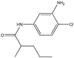  N-(3-amino-4-chlorophenyl)-2-methylpentanamide