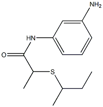 N-(3-aminophenyl)-2-(butan-2-ylsulfanyl)propanamide,,结构式