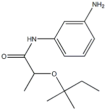 N-(3-aminophenyl)-2-[(2-methylbutan-2-yl)oxy]propanamide