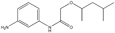 N-(3-aminophenyl)-2-[(4-methylpentan-2-yl)oxy]acetamide 结构式