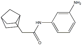 N-(3-aminophenyl)-2-{bicyclo[2.2.1]heptan-2-yl}acetamide Struktur