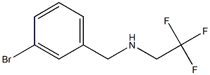 N-(3-bromobenzyl)-N-(2,2,2-trifluoroethyl)amine 结构式