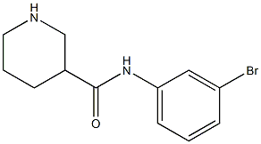 N-(3-bromophenyl)piperidine-3-carboxamide,,结构式