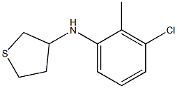 N-(3-chloro-2-methylphenyl)thiolan-3-amine Structure