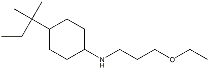 N-(3-ethoxypropyl)-4-(2-methylbutan-2-yl)cyclohexan-1-amine Struktur