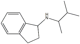 N-(3-methylbutan-2-yl)-2,3-dihydro-1H-inden-1-amine|