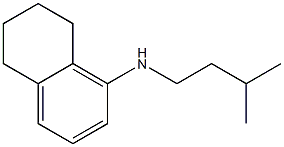 N-(3-methylbutyl)-5,6,7,8-tetrahydronaphthalen-1-amine 化学構造式