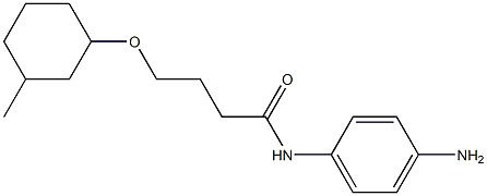N-(4-aminophenyl)-4-[(3-methylcyclohexyl)oxy]butanamide 化学構造式