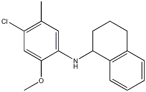N-(4-chloro-2-methoxy-5-methylphenyl)-1,2,3,4-tetrahydronaphthalen-1-amine Structure
