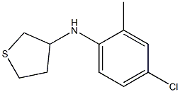 N-(4-chloro-2-methylphenyl)thiolan-3-amine 化学構造式