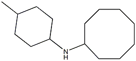 N-(4-methylcyclohexyl)cyclooctanamine Structure