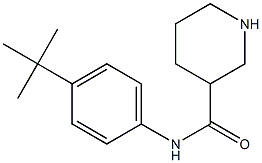 N-(4-tert-butylphenyl)piperidine-3-carboxamide