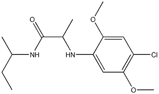 N-(butan-2-yl)-2-[(4-chloro-2,5-dimethoxyphenyl)amino]propanamide,,结构式