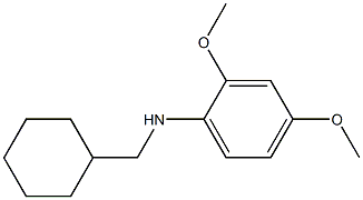 N-(cyclohexylmethyl)-2,4-dimethoxyaniline Structure