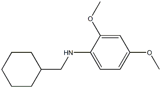 N-(cyclohexylmethyl)-2,4-dimethoxyaniline 结构式