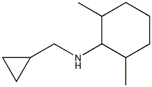 N-(cyclopropylmethyl)-2,6-dimethylcyclohexan-1-amine Struktur