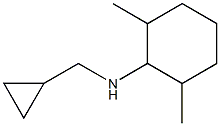 N-(cyclopropylmethyl)-2,6-dimethylcyclohexan-1-amine,,结构式