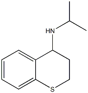 N-(propan-2-yl)-3,4-dihydro-2H-1-benzothiopyran-4-amine|