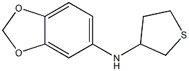 N-(thiolan-3-yl)-2H-1,3-benzodioxol-5-amine Structure