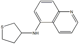 N-(thiolan-3-yl)quinolin-5-amine Struktur