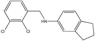 N-[(2,3-dichlorophenyl)methyl]-2,3-dihydro-1H-inden-5-amine