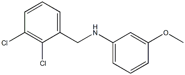 N-[(2,3-dichlorophenyl)methyl]-3-methoxyaniline,,结构式