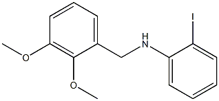 N-[(2,3-dimethoxyphenyl)methyl]-2-iodoaniline,,结构式