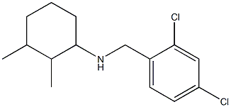 N-[(2,4-dichlorophenyl)methyl]-2,3-dimethylcyclohexan-1-amine Struktur