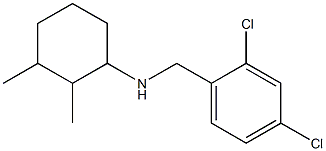 N-[(2,4-dichlorophenyl)methyl]-2,3-dimethylcyclohexan-1-amine Structure