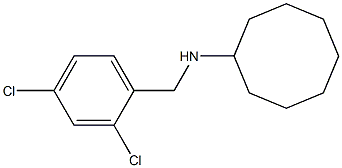 N-[(2,4-dichlorophenyl)methyl]cyclooctanamine Structure