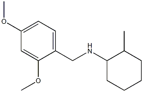  N-[(2,4-dimethoxyphenyl)methyl]-2-methylcyclohexan-1-amine