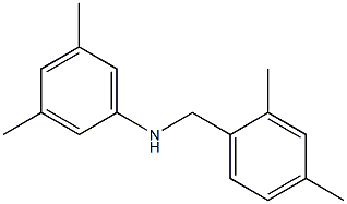 N-[(2,4-dimethylphenyl)methyl]-3,5-dimethylaniline 结构式