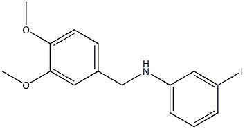 N-[(3,4-dimethoxyphenyl)methyl]-3-iodoaniline