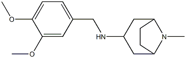 N-[(3,4-dimethoxyphenyl)methyl]-8-methyl-8-azabicyclo[3.2.1]octan-3-amine 结构式