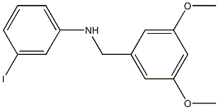 N-[(3,5-dimethoxyphenyl)methyl]-3-iodoaniline Struktur