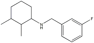 N-[(3-fluorophenyl)methyl]-2,3-dimethylcyclohexan-1-amine,,结构式