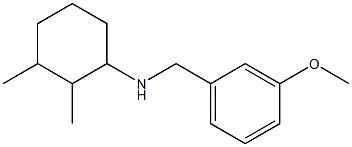 N-[(3-methoxyphenyl)methyl]-2,3-dimethylcyclohexan-1-amine,,结构式