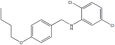 N-[(4-butoxyphenyl)methyl]-2,5-dichloroaniline