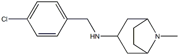 N-[(4-chlorophenyl)methyl]-8-methyl-8-azabicyclo[3.2.1]octan-3-amine 结构式