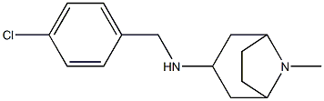 N-[(4-chlorophenyl)methyl]-8-methyl-8-azabicyclo[3.2.1]octan-3-amine,,结构式