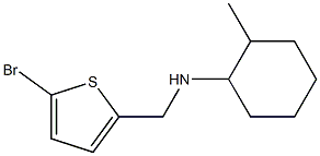 N-[(5-bromothiophen-2-yl)methyl]-2-methylcyclohexan-1-amine|