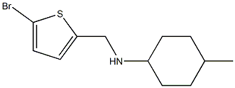 N-[(5-bromothiophen-2-yl)methyl]-4-methylcyclohexan-1-amine Structure