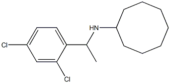 N-[1-(2,4-dichlorophenyl)ethyl]cyclooctanamine Struktur