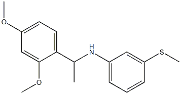  N-[1-(2,4-dimethoxyphenyl)ethyl]-3-(methylsulfanyl)aniline