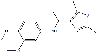  N-[1-(2,5-dimethyl-1,3-thiazol-4-yl)ethyl]-3,4-dimethoxyaniline