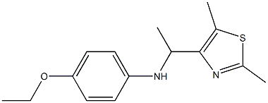 N-[1-(2,5-dimethyl-1,3-thiazol-4-yl)ethyl]-4-ethoxyaniline Struktur
