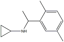  N-[1-(2,5-dimethylphenyl)ethyl]cyclopropanamine