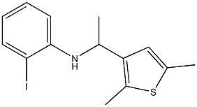 N-[1-(2,5-dimethylthiophen-3-yl)ethyl]-2-iodoaniline,,结构式
